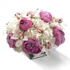 Seller Image